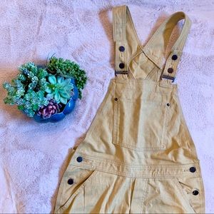 EUC Patagonia All Seasons Hemp Canvas Bib Overalls